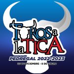 Toros a la Tica