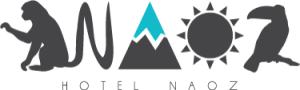 log_naz