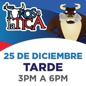 Toros A La Tica 25-12 Tarde