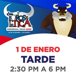 Toros A La Tica 01-01 Tarde