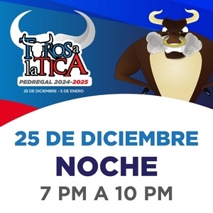 Toros A La Tica 25-12 Noche