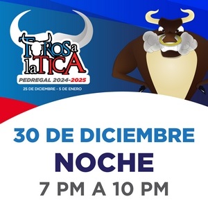 Toros A La Tica 30-12 Noche