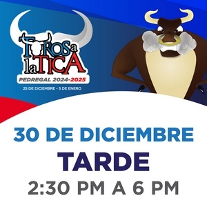 Toros A La Tica 30-12 Tarde