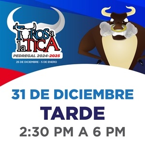 Toros A La Tica 31-12 Tarde